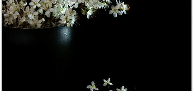 Proljeće u Hrvatskoj